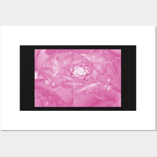 Fractal rose Posters and Art